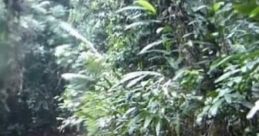 Paddling Down The Amazon "Paddling Down The Amazon" is an immersive cape experience capturing the essence of adventure in the