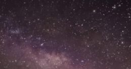 Khajiiti Caravan: The Baandari Jone and Jode summon forth a quilt of twinkling stars above the dunes of Anequina. Recently, a