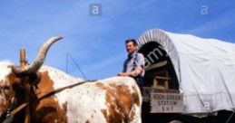 Oxen Cart Travel: Day Travel Over A Rough Dirt Road Via Wagon Oxen cart travel refers to the use of oxen-drawn wagons for