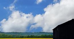 Kentucky Field: Kentucky Summer Kentucky Field: Kentucky Summer captures the serene essence of the Bluegrass State with