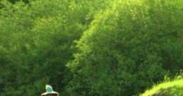 The Shire The Shire is a fictional region in J.R.R. Tolkien's Middle-earth, prominently featured in "The Hobbit" (1937) and