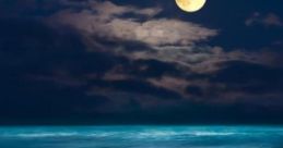 Beach At Night Remix: Peaceful Beach At Night Cool waves, a dense forest behind you, birds singing - total peace I got much