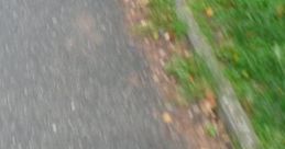 It's Normal At This Point: Walking Home From School But There's An Eldritch Being Somewhere In The Woods Near Your House