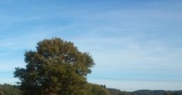 A Country Side Walk: Hiking On A Warum Summer Day "A Country Side Walk: Hiking On A Warm Summer Day" evokes the serene
