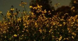 Esheen At Night - Meadow: Esheen At Night - Village Sat In A Meadow "Esheen At Night - Meadow: Esheen At Night - Village