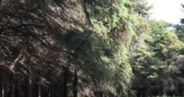 A Forrest Of Old: Pan’s Calling 'A Forrest of Old: Pan’s Calling' is an immersive audio experience that invites listeners