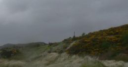 Rainfall: Scottish Rain With No Chimes Or Bells. "Rainfall: Scottish Rain With No Chimes Or Bells" is a unique audio