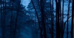 Rainy Forest In Summer: Rainy Forest In Summer "Rainy Forest In Summer" is an immersive cape designed for tabletop