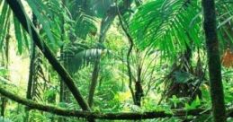 Jedi Temple On Yavin IV: Jedi Temple On Yavin IV: Jungle School Aesthetic The Jedi Temple on Yavin IV, featured in the Star
