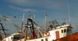 Alone On The Boat: Environmental On A Boat. "Alone On The Boat: Environmental On A Boat" is a captivating audio experience