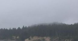 Foggy Seaside: Seaside Ambiance Foggy Seaside: Seaside Ambiance is a inspired by the tranquil coastal towns of Oregon and