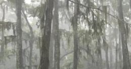 Louisiana Thunderstorm: Rain On The Pontchartrain "Louisiana Thunderstorm: Rain On The Pontchartrain" is a al piece