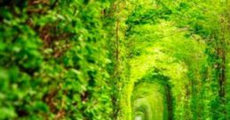 On The Adventurous Road: Telling Tales Along The Road "On The Adventurous Road: Telling Tales Along The Road" is an immersive