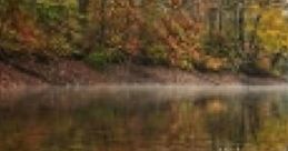 Rainy Lake Walk: Just Takin' A Walk "Rainy Lake Walk: Just Takin' A Walk" features an immersive audio experience capturing