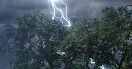 Forest Storm: A Storm Approaching The Woods "Forest Storm: A Storm Approaching The Woods" is an immersive audio experience