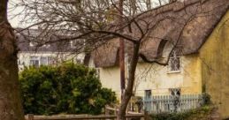 Rural Cottage Garden A rural cottage garden is a traditional English garden style characterized by its informal layout,