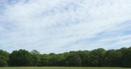 Summer Daze: Let Your Mind Wander "Summer Daze: Let Your Mind Wander" is an immersive audio experience designed to evoke