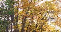 Cozy Autumn Coutryside: Autumn Countryside "Cozy Autumn Countryside" captures the essence of fall with its vibrant colors,