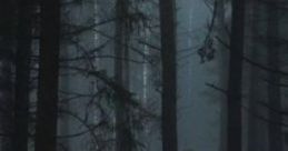 Summer Camp: A Little Nostalgia For The Summer. "Summer Camp: A Little Nostalgia For The Summer" is an immersive audio
