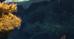 Mermaid Cove: Mermaid Cove Mermaid Cove is a serene and enchanting location known for its captivating singing mermaids. The