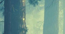 Magic In The Forest: Making Camp For The Night, The Of The Forest Your Lullaby. "Magic In The Forest: Making Camp For The