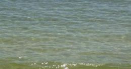Day By The Beach: A Peaceful Day By The Beach "Day By The Beach: A Peaceful Day By The Beach" captures the essence of a