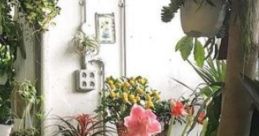 Felix's Garden: The Solis Project "Felix's Garden: The Solis Project" is a fictional setting within a larger narrative that