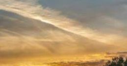 Peaceful Early Morning: Peaceful Early Mornings "Peaceful Early Morning" evokes the serene experience of being the first