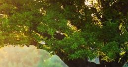 Summer's Day: Birds, Bees, A Few Locusts, Children, And Breeze In The Leaves "Summer's Day: Birds, Bees, A Few Locusts,