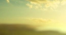 Morning Birds Chirping: Windy Bird Filled Morning "Morning Birds Chirping: Windy Bird Filled Morning" captures the serene of