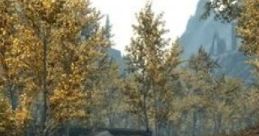 Forest In Skyrim: Riften Woods In Skyrim Riften Woods is a serene forest area located in the southeastern part of Skyrim,