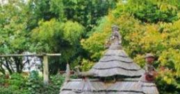 Gardening Near The Pond: Gardening Near The Pond Gardening near a pond combines the tranquility of water features with the