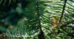 Henry: Henry In The Forest "Henry: Henry In The Forest" features ambient capes designed for immersive experiences,