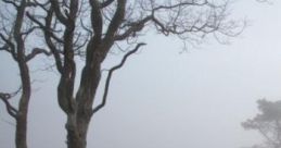 On The Foggy Moors: Picking Herbs On The Moors "On The Foggy Moors: Picking Herbs On The Moors" is a captivating cape that
