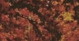 Rainy Autumn Morning (RJ): Soft Office-library-nature "Rainy Autumn Morning (RJ)" is a curated of soft ambient designed to