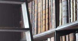 Library On A Rainy Day: In The Library On A Rainy Day "Library On A Rainy Day: In The Library On A Rainy Day" offers a serene