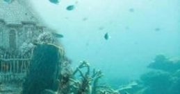 Somewhere Only We Know 2: It's Always Summer Under The Sea "Somewhere Only We Know 2: It's Always Summer Under The Sea" is