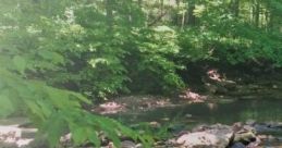 Relaxing Summer Morning: Relaxing Summer Morning By The Stream "Relaxing Summer Morning: Relaxing Summer Morning By The