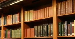 Studying At Library: Studying At Library Studying at the library provides a focused environment ideal for academic work and