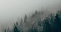 The Dark Southern Forest: Pathway To The Garden "The Dark Southern Forest: Pathway To The Garden" immerses players in a