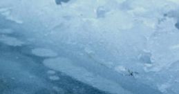The Lake (Dread): (Made For An RPG, But Feel Free To Use It For Yourself!) The Lake (Dread) is a unique RPG setting