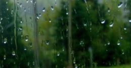 Stormy Day On The Farm: Stormy Day On The Farm "Stormy Day On The Farm" is an immersive cape that captures the chaotic beauty