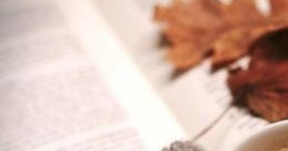 Cosy Café During Autumn Experience the ambiance of a cosy café during autumn, where the of light rain, crackling fire, and