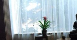 Meditating In The Dojo "Meditating in the Dojo" features atmospheric Eastern dojo designed to enhance meditation and