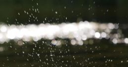 Trout Stream: Flies On The Hatch "Trout Stream: Flies On The Hatch" is an immersive audio experience capturing the serene