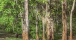 Bayou Summer: A Hot Louisiana Day "Bayou Summer: A Hot Louisiana Day" captures the essence of a sweltering Louisiana