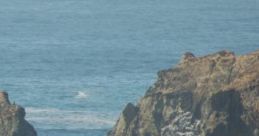 Selkie Sea: Legend Says Seal Maidens Swim Here Selkie Sea is a captivating audio experience that immerses listeners in the