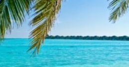 Paradisiac Beach Paradisiac Beach is a serene destination known for its stunning sandy shores and tranquil ocean waves.