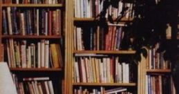 Comfy Study Ambience Comfy Study Ambience features a tranquil home study setting complete with a crackling fireplace and
