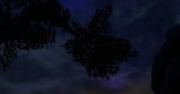Water At Night "Water at Night" encompasses the serene and immersive of water in nocturnal environments, featuring